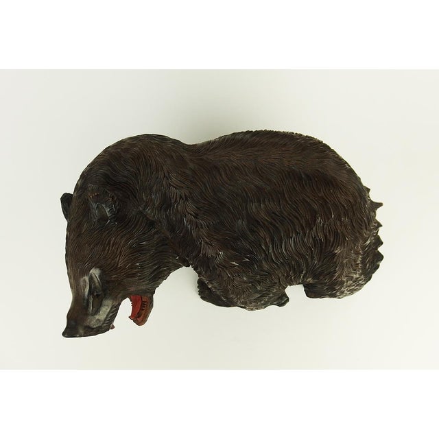 Carved Wooden Ainu Bear, 1960s For Sale - Image 3 of 17