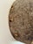 Brown 20th Century Chamba Bush Cow Mask From Nigeria For Sale - Image 8 of 15