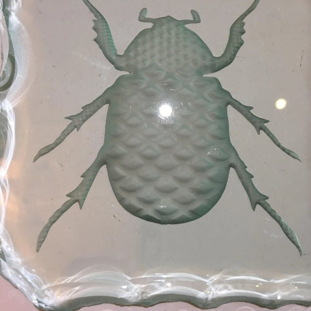 Glass Engraved Scarab Beetle Coaster For Sale - Image 4 of 12