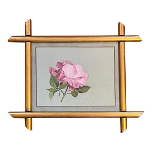 Antique 19th Century American Floral Botanical Watercolor Study of a Rose Signed Copely in Gilt Wood Frame