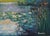 Original Oil Landscape of Lily Pond For Sale - Image 4 of 5