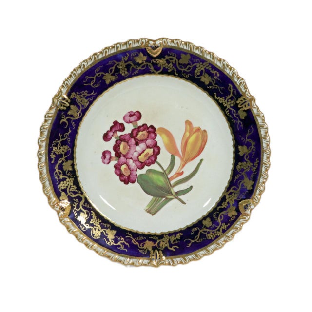 Coalport Porcelain Botanical Plates, Set of Twelve, John Rose For Sale - Image 12 of 16