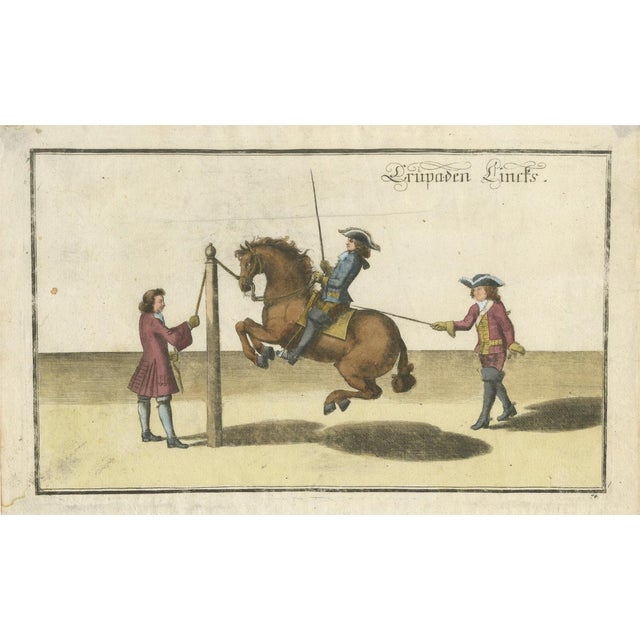 William Cavendish, Levade Horse Training, 1700s, Engraving For Sale - Image 12 of 12