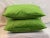 2020s Contemporary Italian Green Apple Velvet Pillows - A Pair For Sale - Image 5 of 7