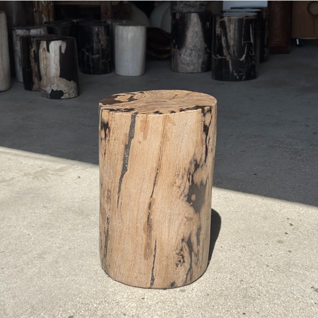 Side Table in Brown and Black Petrified Wood, 1980s For Sale - Image 6 of 18