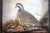 Hand Painted Quail Composition Relief Sculpture & Landscape by Joseph Q. Whipple (Signed) For Sale - Image 4 of 5