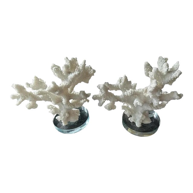 Set of Two Faux White Coral Vintage Sculptures Decor Pieces on Clear Plexiglass For Sale