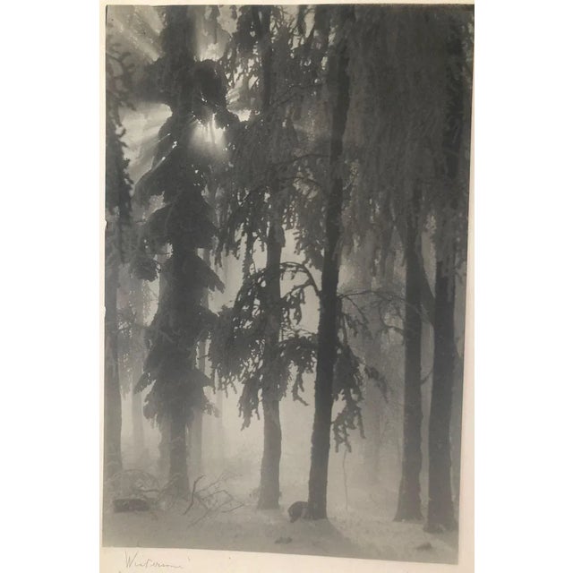 Gray Art Photographs from Fritz Grögl, Austria, 1932, Set of 3 For Sale - Image 8 of 18