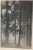 Gray Art Photographs from Fritz Grögl, Austria, 1932, Set of 3 For Sale - Image 8 of 18