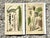 Early 20th Century Vintage Boho Botanical Engravings - Set of 2 For Sale - Image 5 of 10