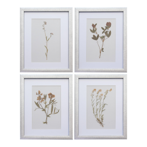 Custom Framed Antique Swedish Botanical Herbariums - Set of 4