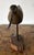 Vintage Hand Carved and Painted Wooden Shorebird, Folk Art For Sale In New York - Image 6 of 9