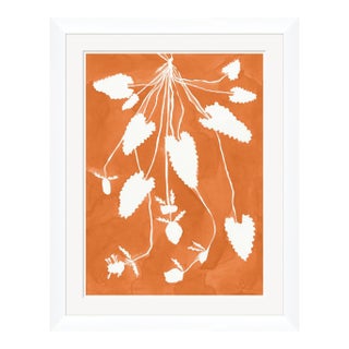 Marigold Pixie by Susan Hable For Sale