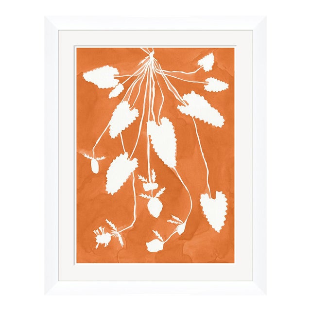 Marigold Pixie by Susan Hable For Sale