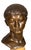 Italian Grand Tour Bronze Bust of Caesar For Sale - Image 9 of 11