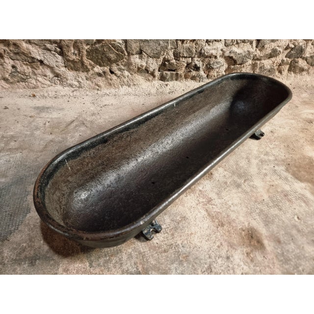 Antique French Cast Iron Planter, 1890s For Sale - Image 10 of 14