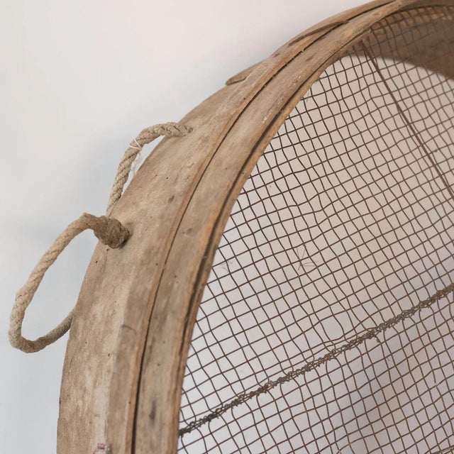 Rustic Wooden Grain Sieves, 1920s, Set of 3 For Sale - Image 4 of 5