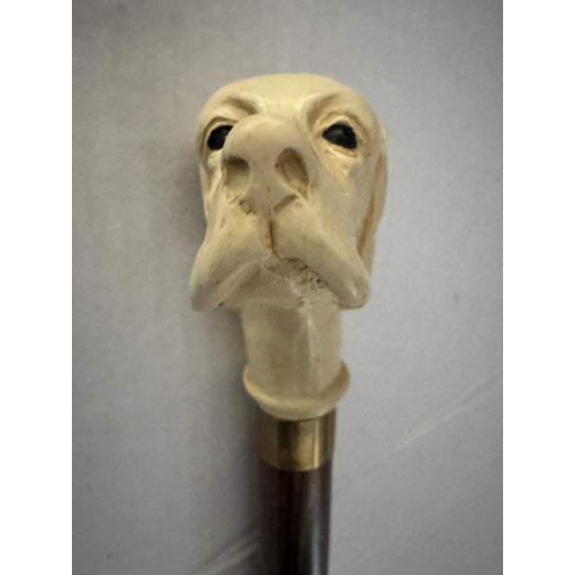 Vintage Cane/Walking Stick With Yellow Lab Head For Sale - Image 4 of 5