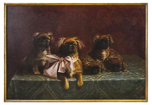 Pekingese Family of Dogs - Oil on Canvas by F.V. Rossi - 1939 1939