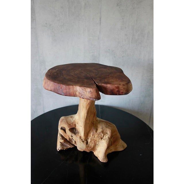 Late 20th Century Natural Tree Stump Side Table Made From Solid Cedar Roots. For Sale - Image 4 of 7