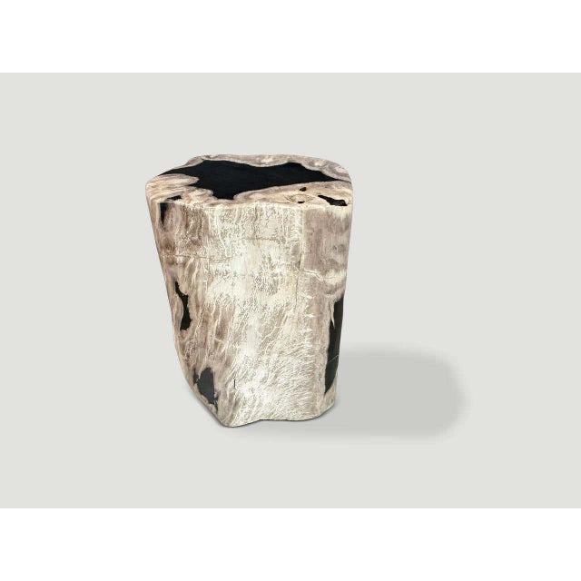 Contemporary Andrianna Shamaris Abstract High Quality Petrified Wood Side Table For Sale - Image 3 of 5