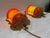 Art Deco 1930s Gill Glass & Fixture Company Antique Slip Shade Wall Sconces, Pair For Sale - Image 3 of 12