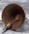 Religious Antique Angel Relief Bronze Bell For Sale - Image 3 of 4