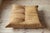 Togo Set in Camel Leather, 1970s, Set of 5 For Sale - Image 3 of 13