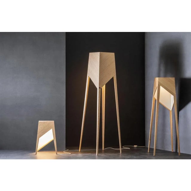 Black Oak Luise Floor Lamp by Matthias Scherzinger For Sale - Image 9 of 12