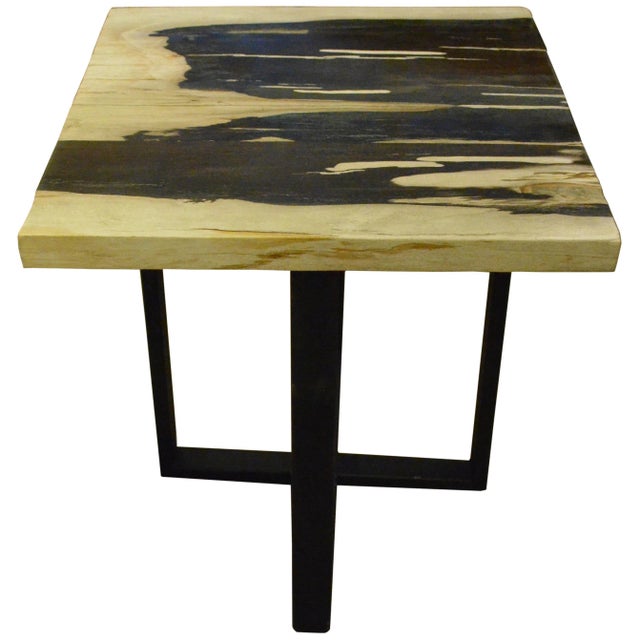 Beautiful petrified wood slab top side table in contrasting tones. Set on a modern black steel base. As with a diamond, we...