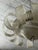Metal Murano Glass 4-Light Chandelier in the style of Ercole Barovier, 1967 For Sale - Image 7 of 9