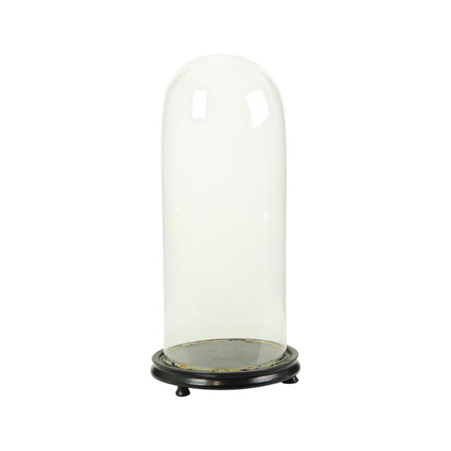 Large Antique Mouth-Blown Glass Dome, 1890s For Sale - Image 11 of 14