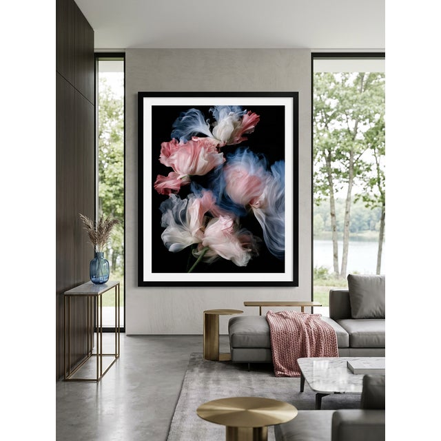 Wind-blurred tulips and peonies dissolve into silken motion against pure black — petals of blush pink, cream, and dusty...