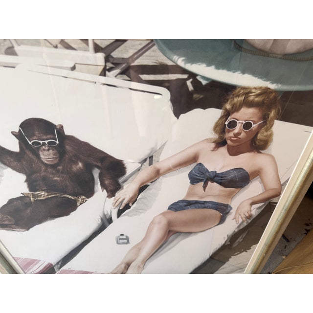1990s Large 30x40 Hollywood Regency "Sunbathing With Chimpanzee" Framed Print by Mindthegap For Sale - Image 4 of 6