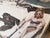 1990s Large 30x40 Hollywood Regency "Sunbathing With Chimpanzee" Framed Print by Mindthegap For Sale - Image 4 of 6