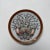 Etoiles de la Mer Plates by Versace for Rosenthal, 2000s, Set of 2 For Sale - Image 3 of 8