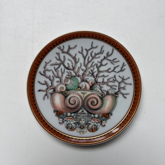 Starfish Plate by Versace for Rosenthal, 2000s, Set of 2 For Sale - Image 3 of 8