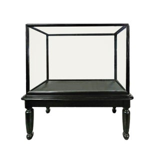 Antique English Museum Display Cabinet on Stand For Sale