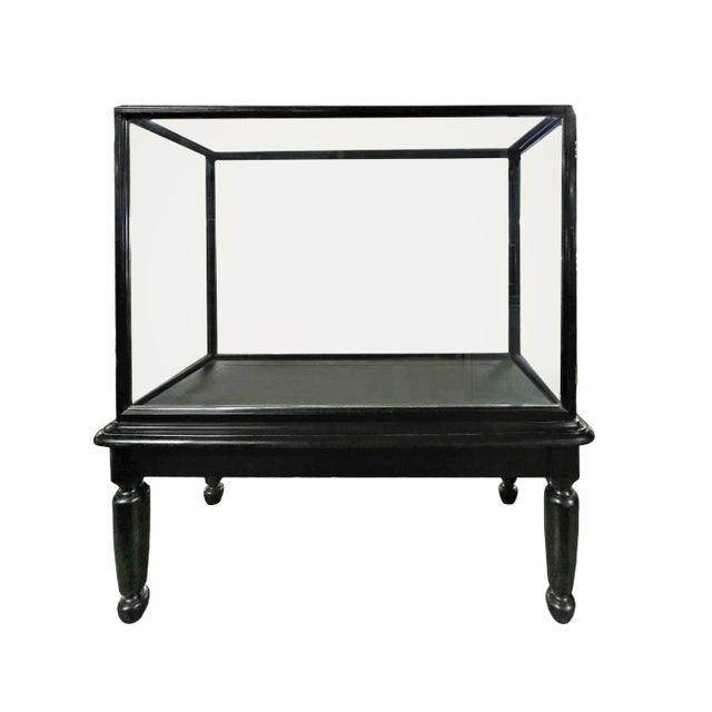 Antique English Museum Display Cabinet on Stand For Sale