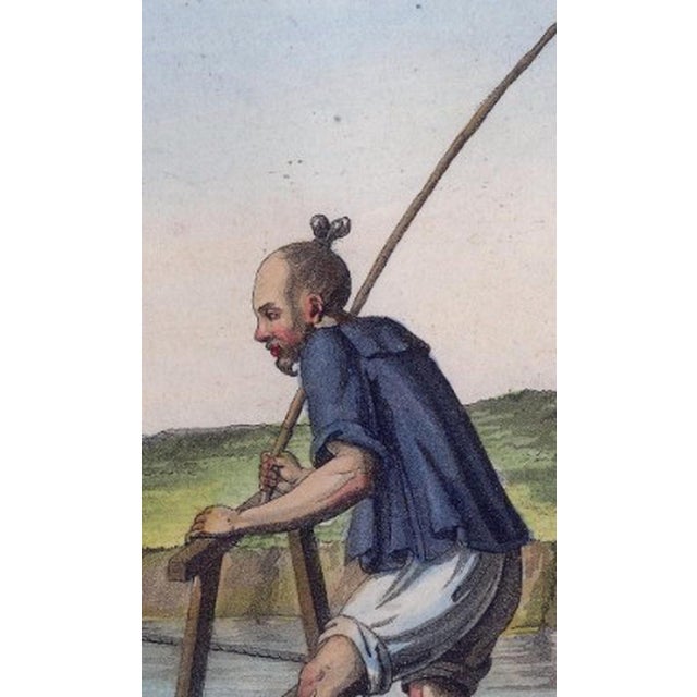 Ferrario, Chinese Farmer with Water Buffalo Agricultural Scene, 1815, Print For Sale - Image 11 of 14
