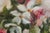 1980s Oil on Canvas Painting Still Life Flowers For Sale - Image 5 of 17