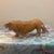 Mid-Century Modern Hand-Carved Teak Wood Roaring Lion Sculpture For Sale - Image 9 of 12