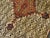 Hand Knotted Northwest Persian Camel Hair Sarab Gallery rug.4"9"x 11' For Sale - Image 14 of 18