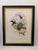 1990s 1990s Framed Prints, Set of 4, Swallow-Tail, Refulgent Wood Nymph, Black-Banded Wood Nymph, Blue-Crowned Wood Nymph Hummingbird Hill House Editions For Sale - Image 5 of 17