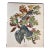 1964 Audubon Folio Lithograph Great Bird Paintings – “Canada Jay” 17x14 For Sale