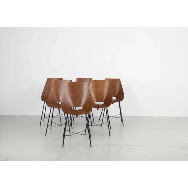 1960s Vintage Bentwood Dining Chairs from Societa Compensato Curvato, 1960s, Set of 6 For Sale - Image 5 of 18