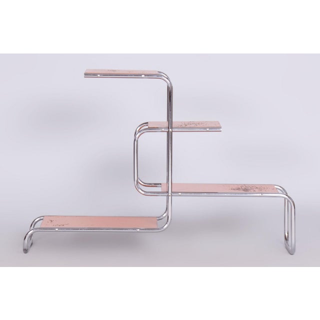 Pink Bauhaus Chrome-Plated Steel and Lacquered Wood Shelf, 1930s For Sale - Image 8 of 10