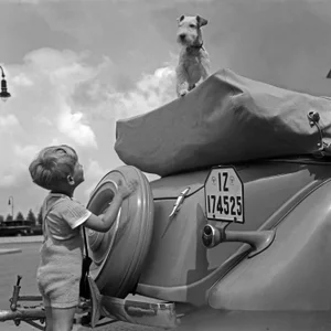 Heinz Pollmann, Ford Cabrio Tour with Little Boy and Dog, 1936 / 2025, Photograph