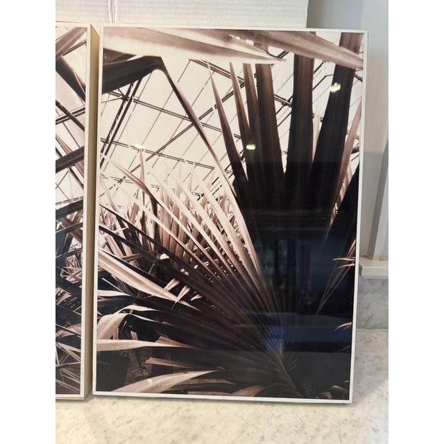 Sepia Toned Photograph Triptych by Guido Orsini For Sale - Image 9 of 10