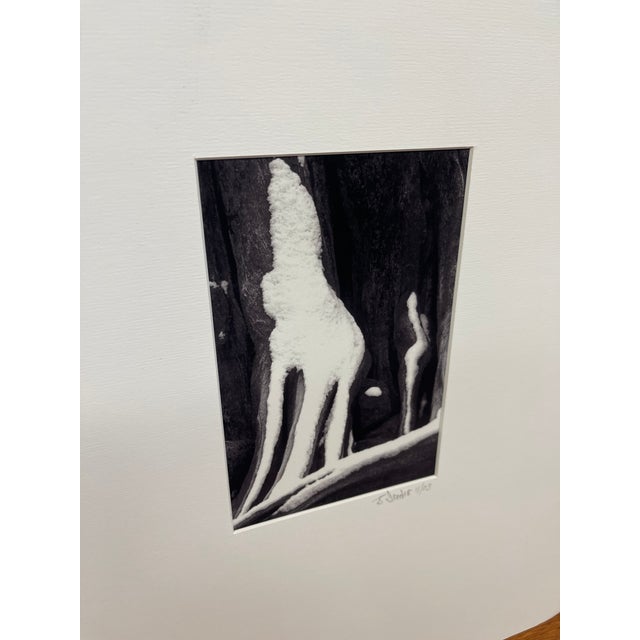 Black Signed Black and White Photograph "Howling Wolfe" Snow Tree Stump Illusion, North Bend Wa, Dated 2003. For Sale - Image 8 of 10